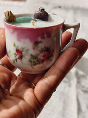 Sagesse du coeur