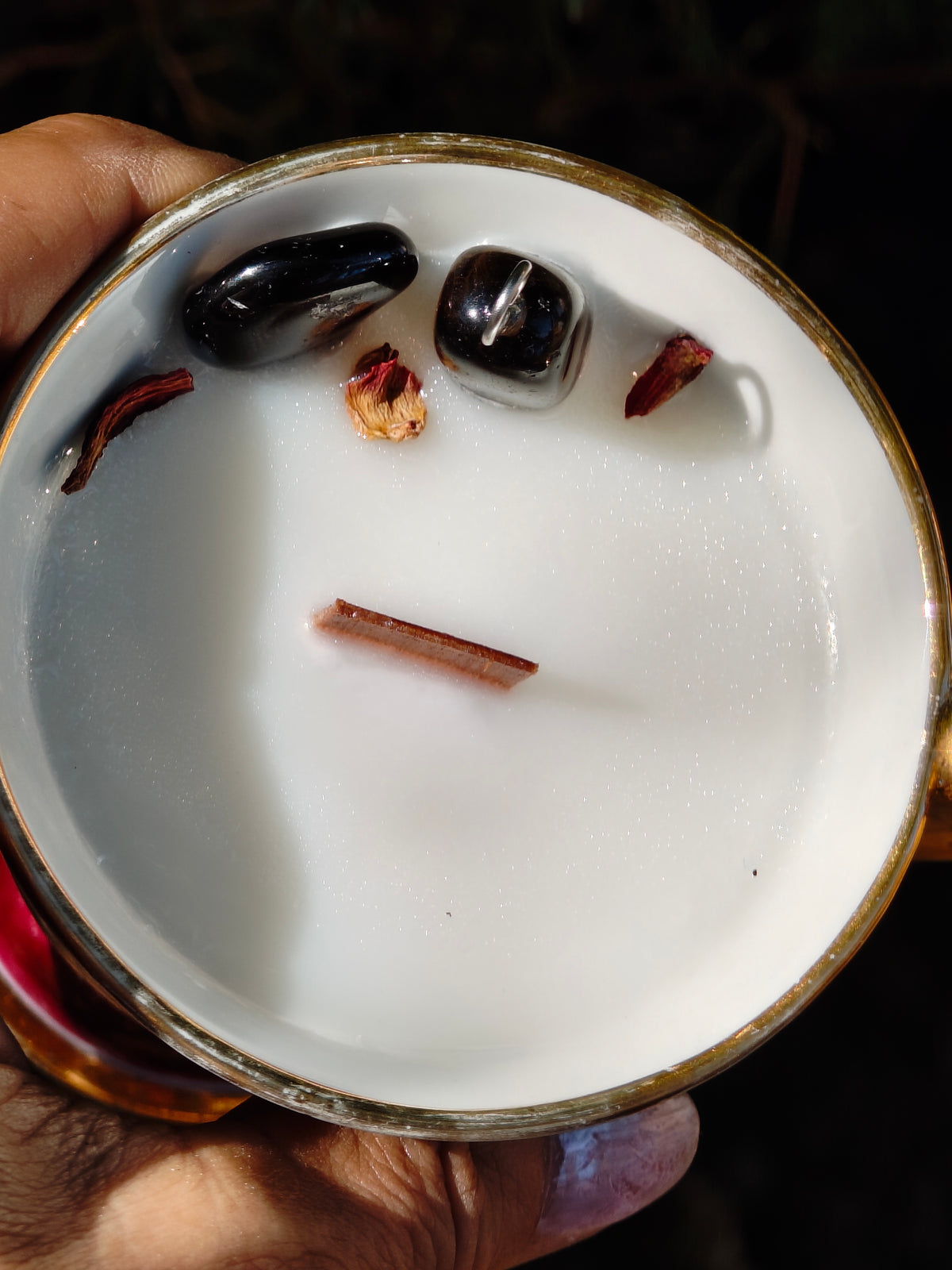 Le Cœur du Scorpion